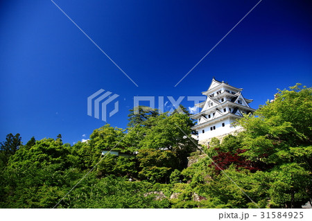 新緑と青空の郡上八幡城 新緑と青空の郡上八幡城 31584925