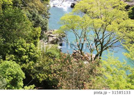 熊本　立神峡 31585133