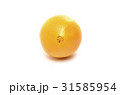 ネーブルオレンジ 31585954