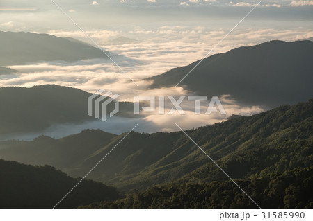 Sea of clouds view on Doi Phu Kha in morning Sea of clouds view on Doi Phu Kha in morning 31585990