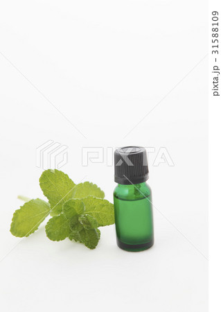 ミントの葉グラス入り ミントの葉グラス入り 31588109