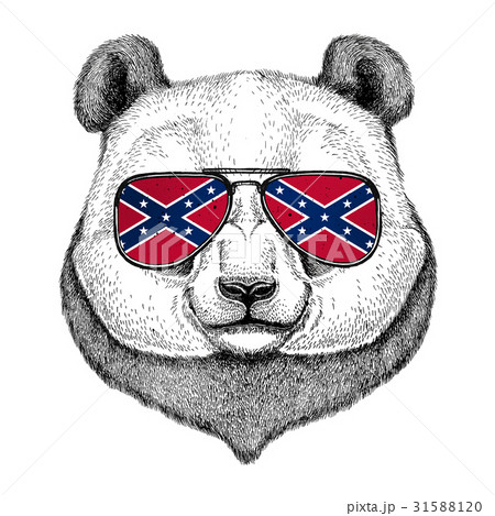 Panda bear, bamboo bear wearing glasses with 31588120