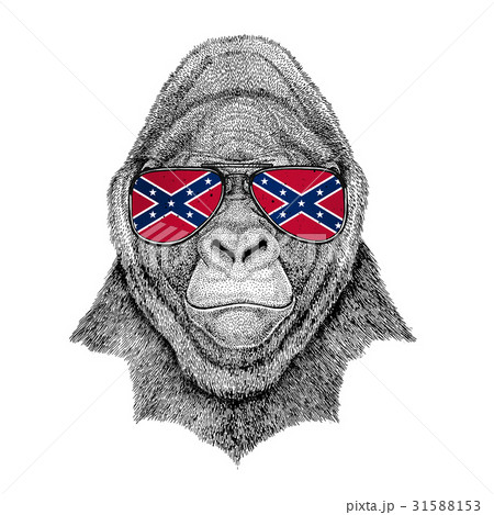 Gorilla, monkey, ape Frightful animal wearing 31588153