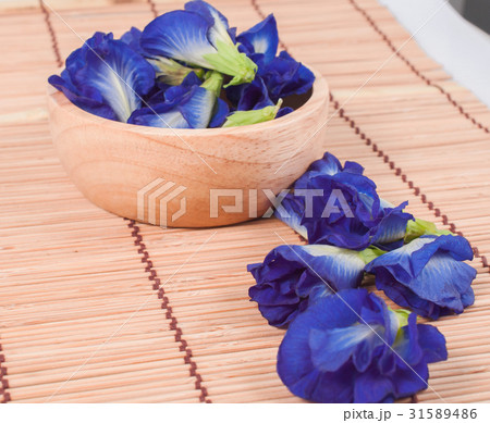 Blue pea butterfly pea close up Blue pea butterfly pea close up 31589486