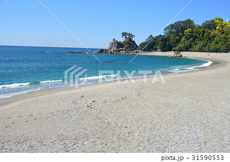 桂浜(高知県高知市浦戸) 桂浜(高知県高知市浦戸) 31590553