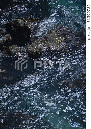 潮流･岩礁（桂浜･下竜頭岬／高知県高知市浦戸） 31590789
