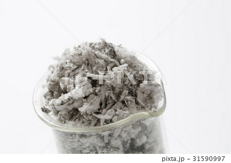 アスベスト アスベスト 31590997