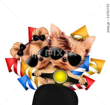 Couple of dogs carry firework rockets Couple of dogs carry firework rockets 31591735