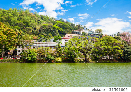 Kandy Lake, Sri Lanka 31591802