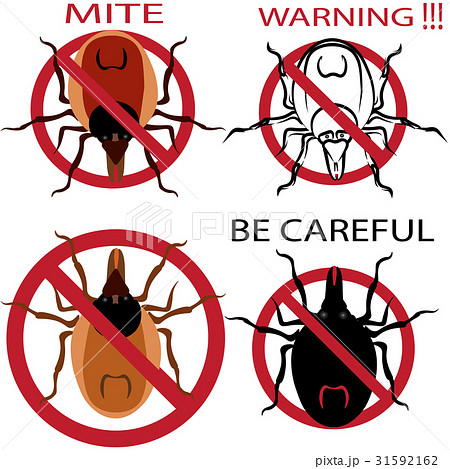 A set of warning sign. Spider mites. Red mite 31592162