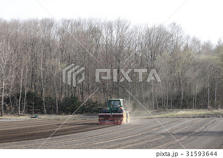 軽井沢の農場 軽井沢の農場 31593644