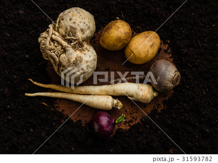 raw vegetables raw vegetables 31593782