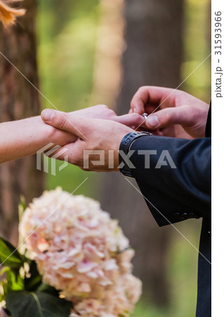 wedding wedding 31593966