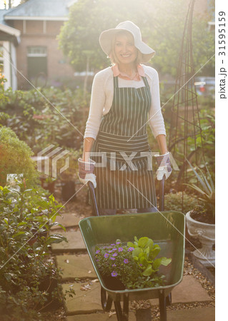 Female gardener carrying plants in wheelbarrow Female gardener carrying plants in wheelbarrow 31595159