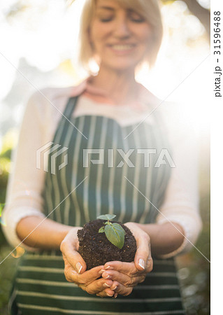 Happy female gardener holding sapling 31596488