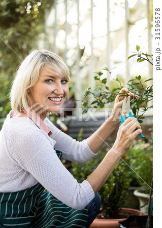 Portrait of female gardener pruning plants 31596578