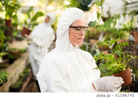 Female scientist in clean suit examining potted plant Female scientist in clean suit examining potted plant 31596745