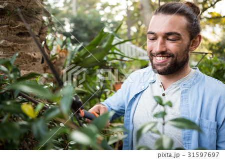 Happy confident gardener using hedge clippers at garden 31597697