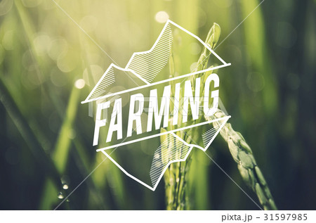 Alternative Farming Sustainable Nature Concept 31597985