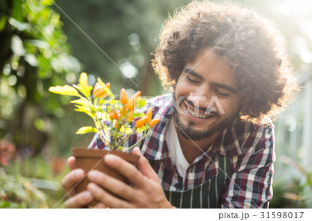 Gardener holding potted plant outside greenhouse 31598017