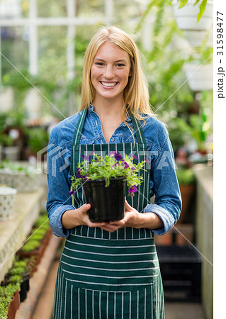 Female gardener holding flowering plant at greenhouse Female gardener holding flowering plant at greenhouse 31598477