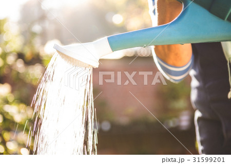 Midsection of gardener watering at garden 31599201