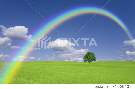草原の一本木と雲と虹 草原の一本木と雲と虹 31600406