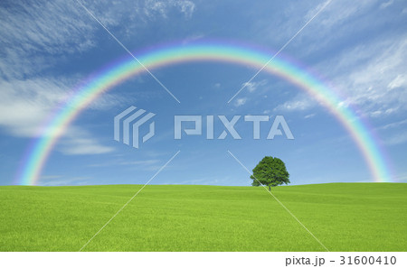 草原の一本木と雲と虹 草原の一本木と雲と虹 31600410