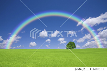 草原の一本木と雲と虹 31600567