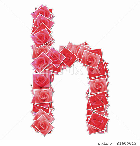バラの花でアルファベットの小文字 バラの花でアルファベットの小文字 31600615