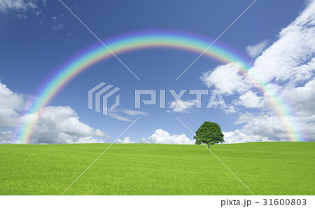草原の一本木と雲と虹 31600803
