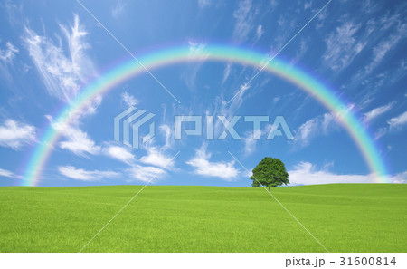 草原の一本木と雲と虹 草原の一本木と雲と虹 31600814