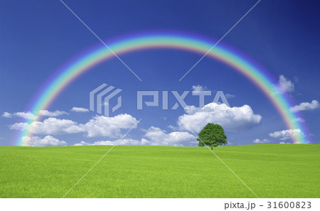 草原の一本木と雲と虹 31600823