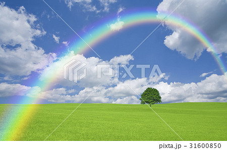 草原の一本木と雲と虹 31600850