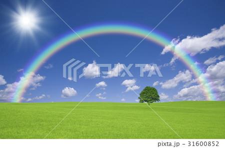 草原の一本木と雲と太陽と虹 草原の一本木と雲と太陽と虹 31600852