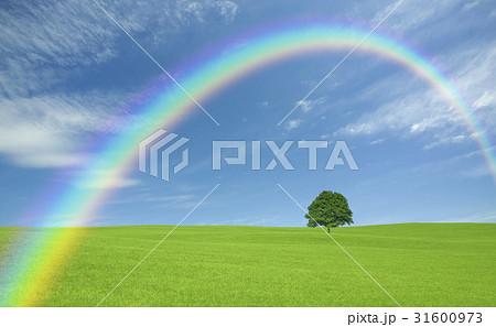 草原の一本木と雲と虹 31600973