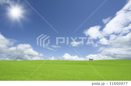 草原の赤い屋根の家と雲と太陽 31600977