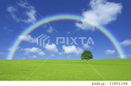 草原の一本木と雲と虹 31601140
