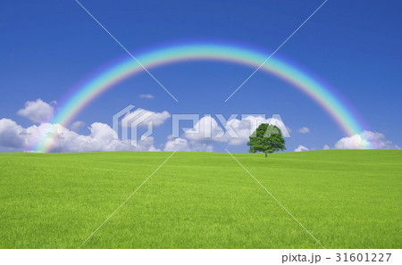 草原の一本木と雲と虹 31601227