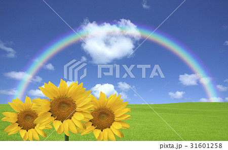 緑の草原と雲と虹とひまわりのイラスト素材