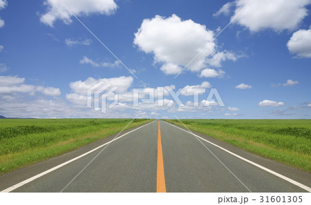 草原の直線道路と雲のイラスト素材