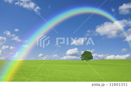 草原の一本木と雲と虹 31601351