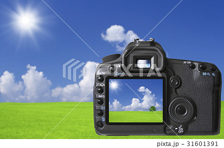 デジタルカメラの液晶モニターのイラスト素材 デジタルカメラの液晶モニターのイラスト素材