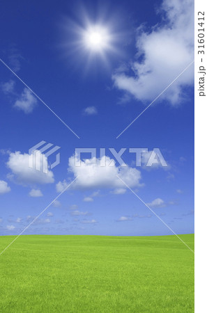 草原と太陽 草原と太陽 31601412