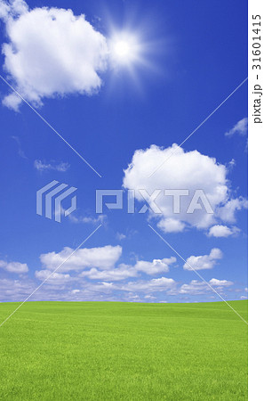 草原と太陽 31601415