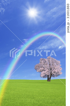 草原の桜の木と雲と虹のイラスト素材