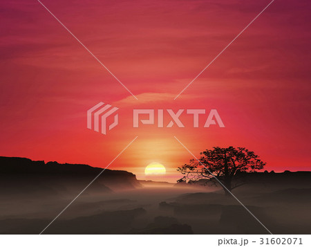 日の出 31602071