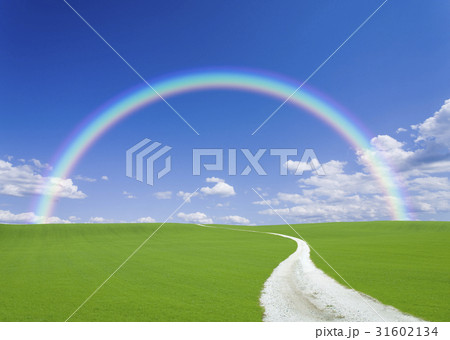 丘へ続く白い道と虹 31602134