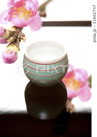 梅の花とお猪口 31602747