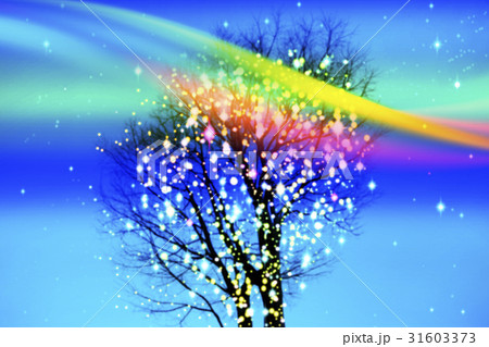 クリスマスツリー 31603373